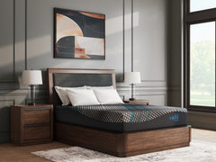 Sectionals for Less - Ashley Furniture - Millennium 2.0 Foam 12 Inch Mattresses - California King / Black - M31151