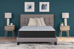 Sectionals for Less - Ashley Furniture - Elite Springs Firm Mattresses - Twin / Gray/Blue - M40511