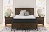 Sectionals for Less - Ashley Furniture - Limited Edition PT Mattresses - Full / White - M41221