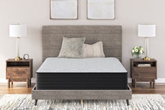Sectionals for Less - Ashley Furniture - Palisades Plush Mattresses - California King / Gray/Blue - M41651