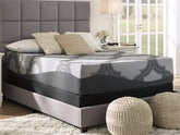 Sectionals for Less - Ashley Furniture - 1100 Series Mattresses - Twin XL / Gray - M52671