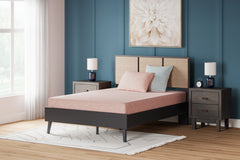 Sectionals for Less - Ashley Furniture - iKidz Coral Mattresses - Twin and Pillow 2/CN / Coral - M43111